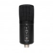 Stagg SUSM60D - USB condenser microphone