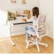 Desk Study 5.0 Wood