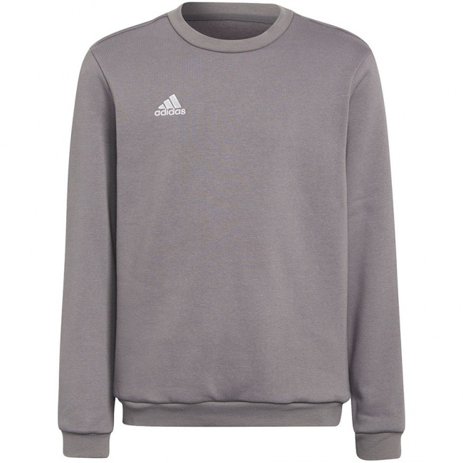 Sweatshirt for kids adidas Entrada 22 Sweat Top gray H57477 116cm