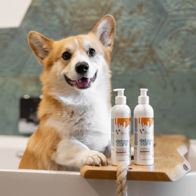 VETEXPERT Detox Care Vitalizing - shampoo for dogs and cats - 250 ml