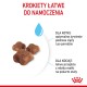 Royal Canin Mother & Babycat cats dry food 2 kg Royal Canin Mother & Babycat cats dry food 2 kg