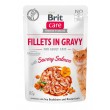 BRIT Care fillets in gravy box wet cat food 12x85g