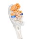 Philips Premium All-in-One HX9092/87 2-pack brush heads