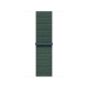 Apple 40mm Lake Green Sport Loop