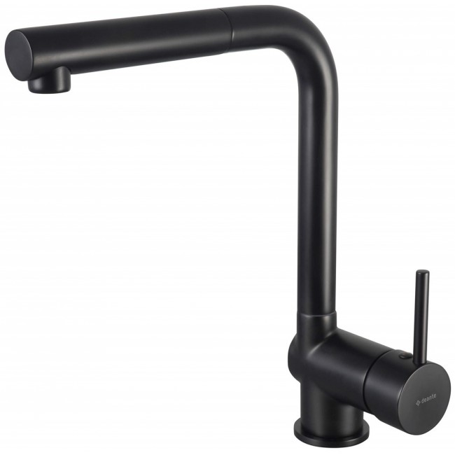 Kitchen faucet with pull-out spout