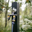 Fiskars 1070577 not categorized Fiskars 1070577 not categorized