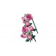 LEGO BOTANICALS 10374 Bouquet of Pink Roses