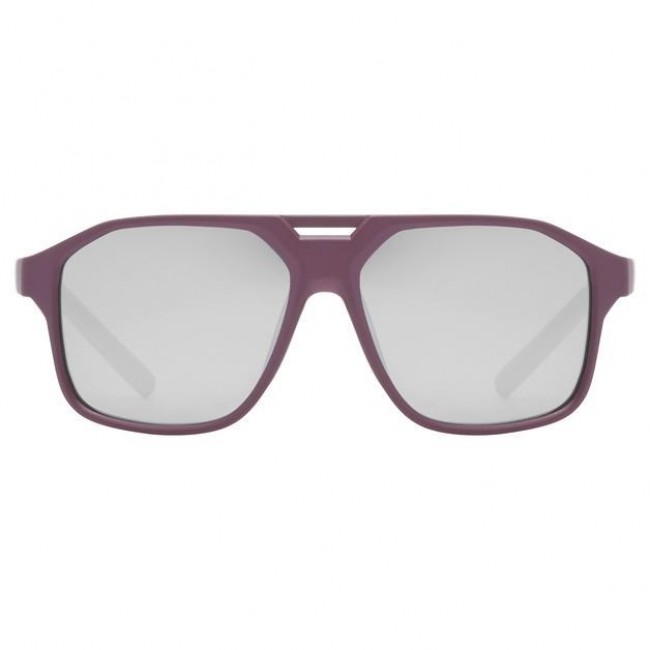 Uvex cosmic Unisex Full rim Silver