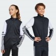Adidas JE2766_500 coat/jacket