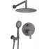 Concealed shower set