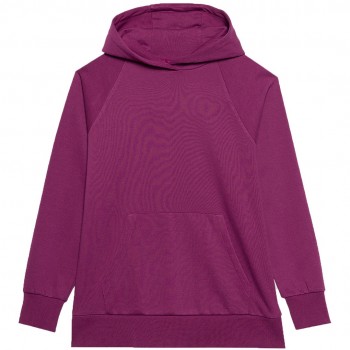 Women's sweatshirt 4F F0955 purple 4FWSS24TSWSF0955 51S S