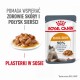ROYAL CANIN Hair & Skin Care - wet cat food - 12x85g