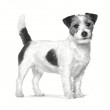 ROYAL CANIN Gastrointestinal Low Fat Small VHN - dry dog food - 3,5kg