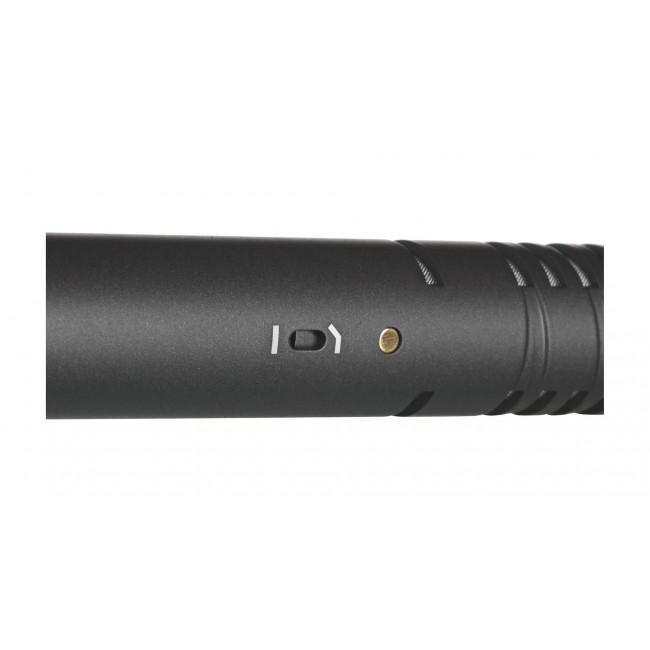R DE NTG1 microphone Black Digital camcorder microphone