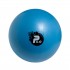 Rehabilitation Ball 