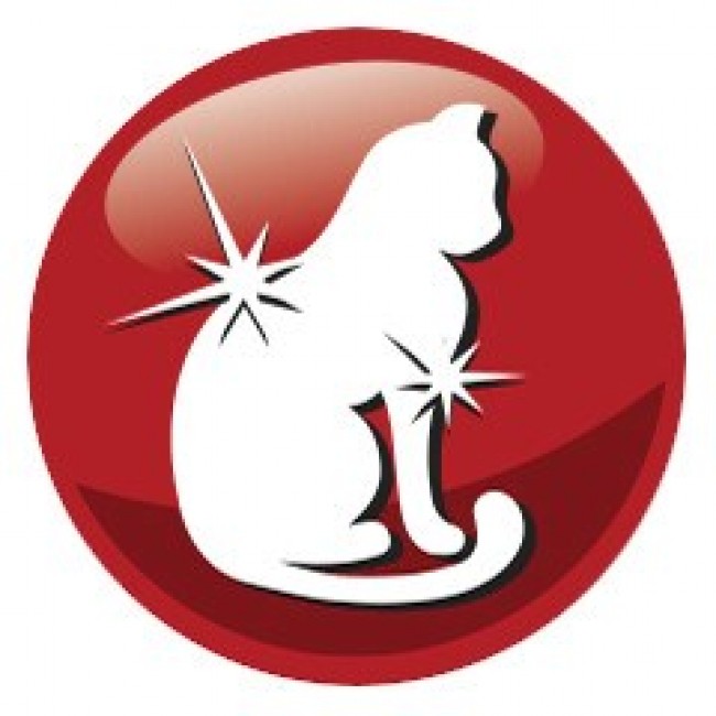 PREVITAL Adult Beef - dry cat food - 300g