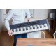 Casio CT-S400 synthesizer Digital synthesizer 61 Black Casio CT-S400 synthesizer Digital synthesizer 61 Black