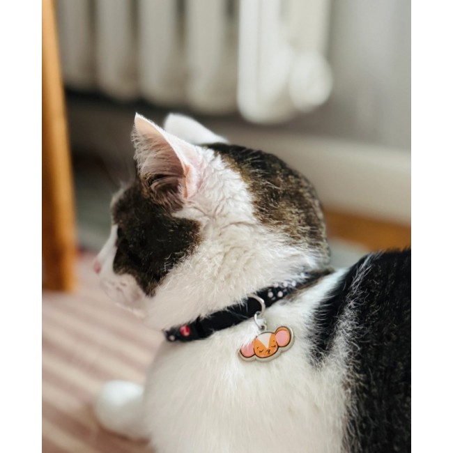 ZOLUX Chatouille black - cat collar