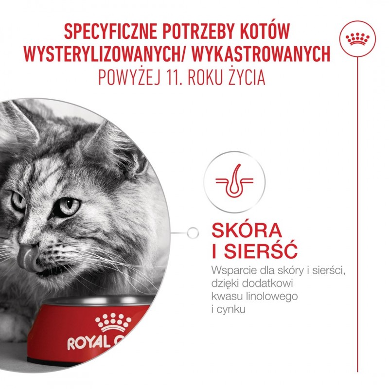 ROYAL CANIN Ageing 11+ Sterilised - dry cat food - 4kg