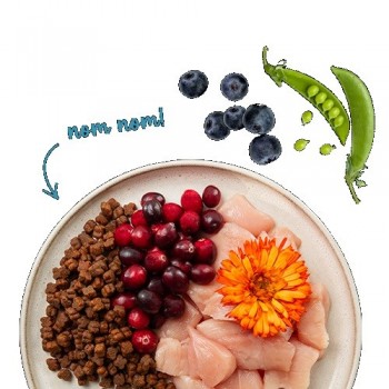 BOSCH Sanabelle Kitten Chicken with cranberries - dry cat food - 2kg