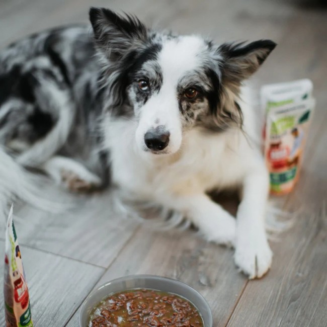 ANIMAL ISLAND Turkey / Beef Fillets in broth - wet dog food - 8x150g