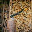 Fiskars X28 axe tool 1 pc(s)