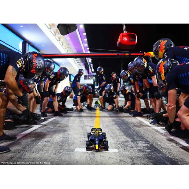 LEGO TECHNIC 42206 Oracle Red Bull Racing RB20