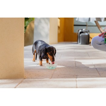 VIRBAC Vet Aquadent FR3SH - dental solution for oral hygiene for dogs and cats 250ml