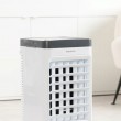 Taurus 4-in-1 air cooler Snowfield 5 L, 60 W