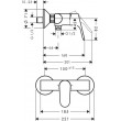 Hansgrohe Focus Chrome