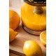 ADLER AD 4012 CITRUS SQUEEZER ADLER AD 4012 CITRUS SQUEEZER