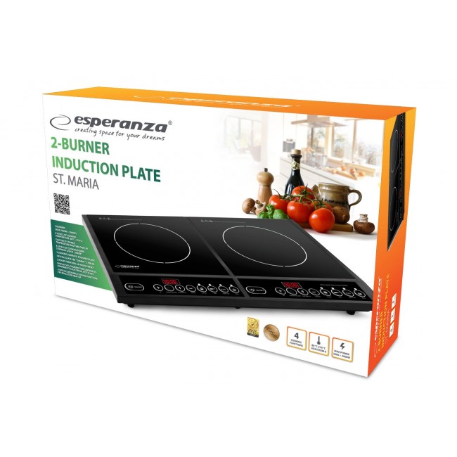 Esperanza EKH008 hob Black Countertop Zone induction hob 2 zone(s)