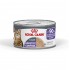 ROYAL CANIN Appetite Control Care AirLift Mousse - wet cat food - 85g