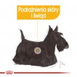 ROYAL CANIN Mini Dermacomfort - dry food for adult small breeds of dogs with sensitive skin prone to irritation - 3kg