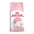 Royal Canin Kitten dry cat food 400 g