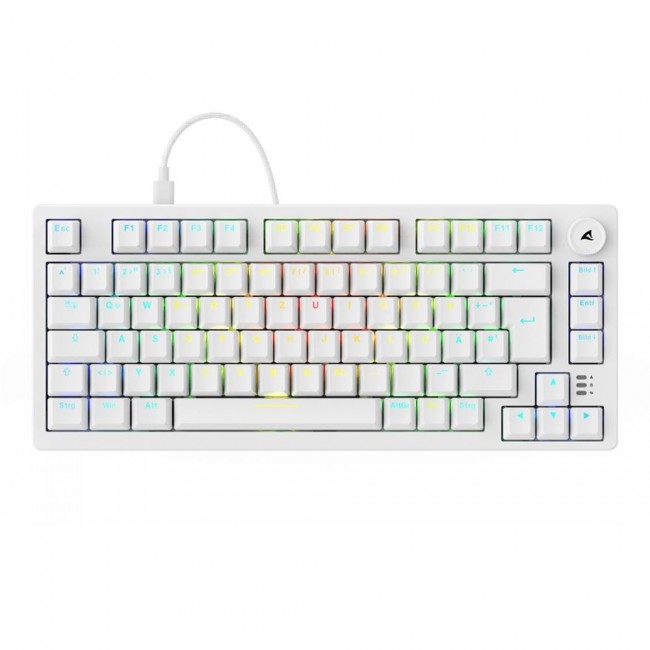 Sharkoon SGK25 keyboard Home USB QWERTZ German White