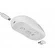FURY Tanto T4 gaming mouse wireless 12000 dpi white FURY Tanto T4 gaming mouse wireless 12000 dpi white