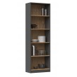 Topeshop R60 ANT/ART office bookcase