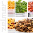 Food dehydrator ZELMER ZFD2025