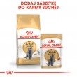 Royal Canin British Shorthair Adult cats dry food 4 kg Royal Canin British Shorthair Adult cats dry food 4 kg