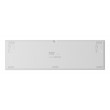 GENESIS NKG-2300 keyboard Universal USB QWERTY English White GENESIS NKG-2300 keyboard Universal USB QWERTY English White