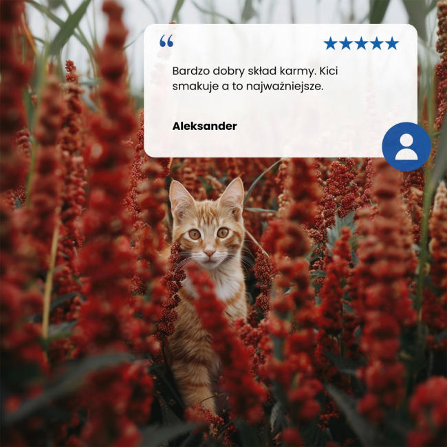 FARMINA N&D Quinoa Weight Management Lamb&Broccoli - dry cat food - 5 kg