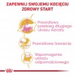 ROYAL CANIN Maine Coon Kitten- dry cat food - 4 kg