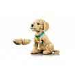 LEGO ICONS 11384 Golden Retriever Puppy