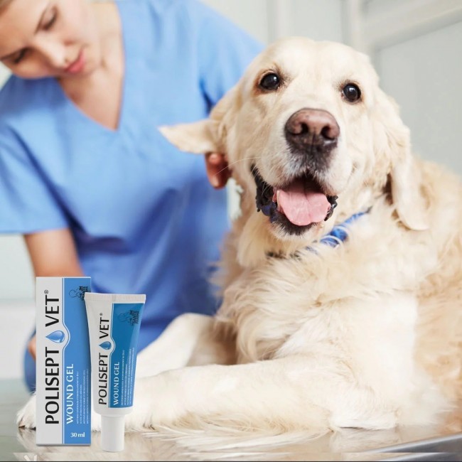 JM SANTE Polisept Vet Wound gel - gel dressing for dogs and cats 30 ml JM SANTE Polisept Vet Wound gel - gel dressing for dogs and cats 30 ml