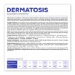 VETEXPERT Veterinary Diet Dermatosis Dog Salmon & Potato - dry dog food - 12 kg VETEXPERT Veterinary Diet Dermatosis Dog Salmon & Potato - dry dog food - 12 kg