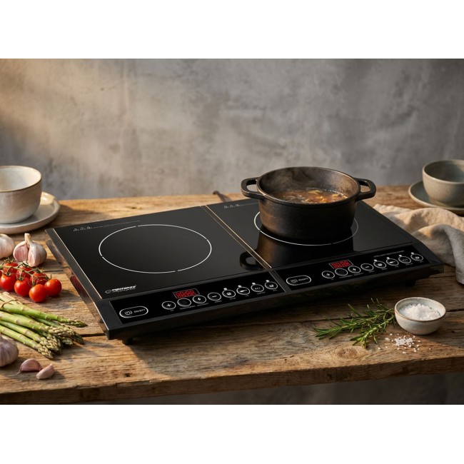 Esperanza EKH008 hob Black Countertop Zone induction hob 2 zone(s)