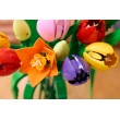 LEGO BOTANICALS 11501 Tulip Bouquet