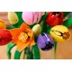LEGO BOTANICALS 11501 Tulip Bouquet