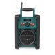 Nedis RDDB3100GN radio Portable Analog & digital Black, Green